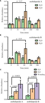 Mass spectrometry imaging of Arabidopsis thaliana with in vivo D2O labeling